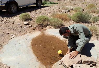 خشک شدن چشمه ها حیات وحش نهبندان را تهدید می کند