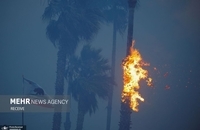 آتش در لس آنجلس ده‌ها هزار آمریکایی را فراری داد (7)