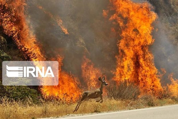 آتش سوزی اراضی ملی آتانک قزوین مهار شد