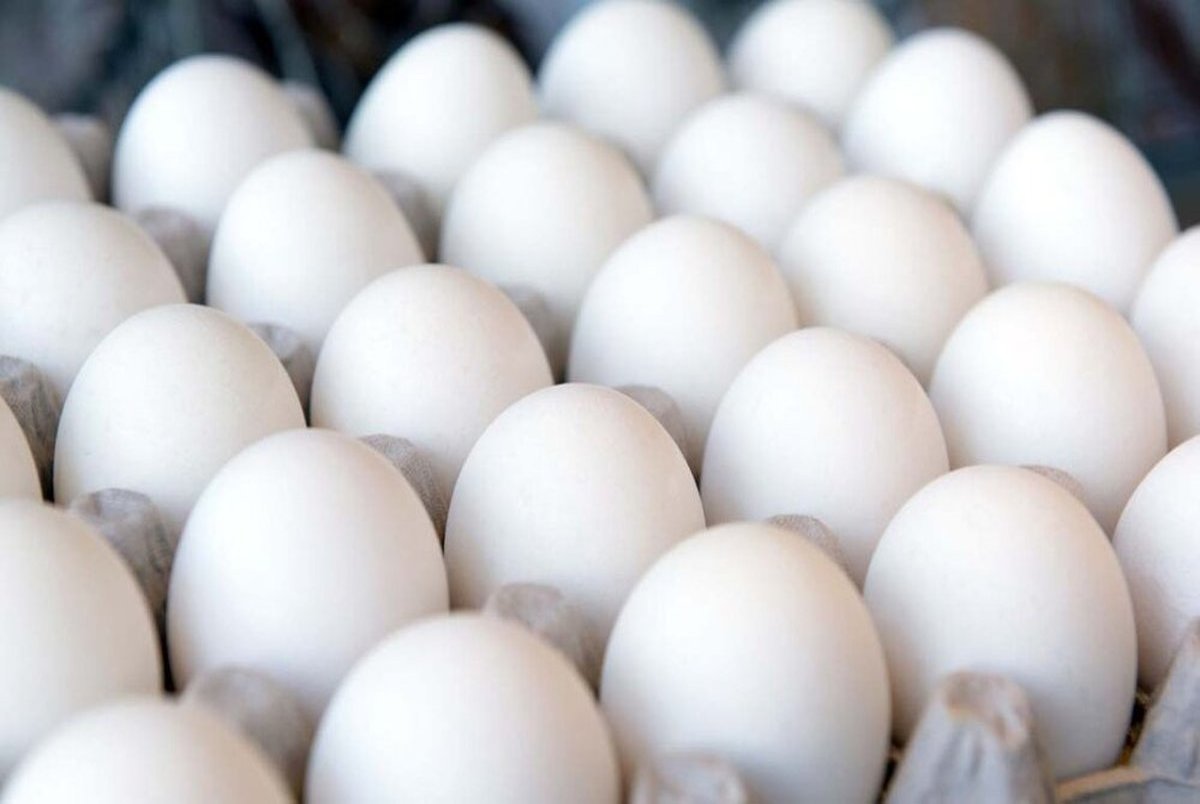
عوارض زیاده روی در مصرف تخم مرغ