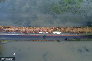 منتخب تصاویر امروز جهان - 11 بهمن 1403