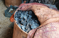 گشت با جنگل بانان برای مبارزه با قاچاق چوب و زغال