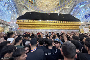 هم قدم با زائران اباعبدالله الحسین (ع)؛ حرم امیر المومنین (ع)