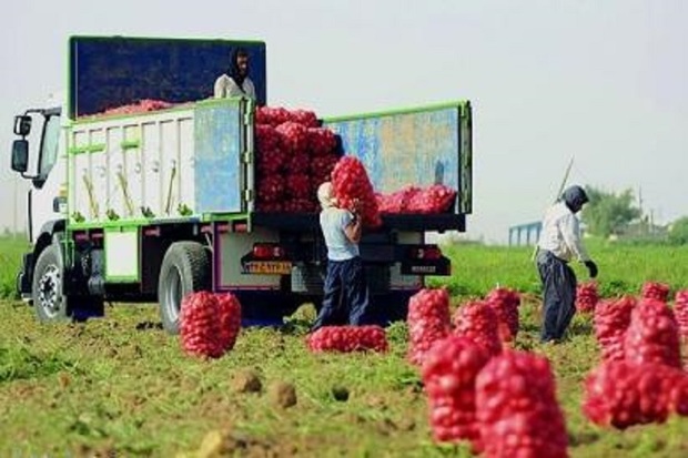 خروج سیب زمینی از استان اردبیل ممنوع می شود