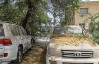 خاک خوردن خودروهای میلیاردی در بندرعباس (7)