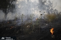 آتش سوزی در سرزمین های اشغالی