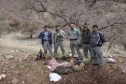 شکارچیان حیوانات وحشی در الموت قزوین دستگیر شدند