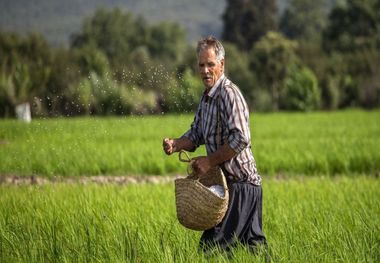 پیمانی برای پیوند کتاب و کشاورز