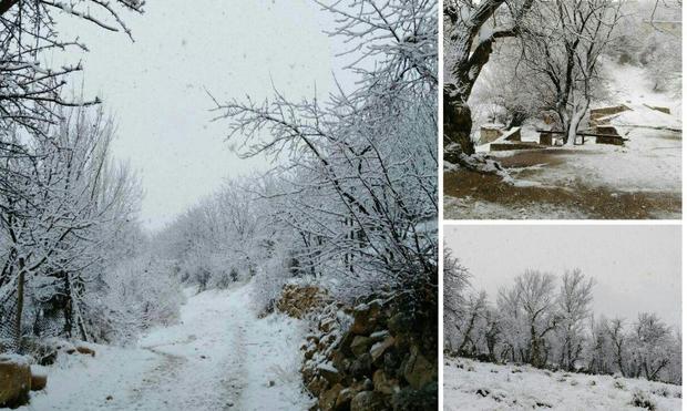 برف و باران سمیرم را فرا گرفت