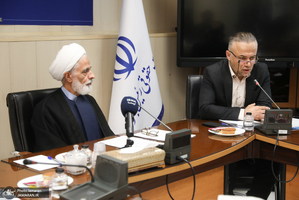 نشست هم اندیشی هیات پیگیری اجرای قانون اساسی