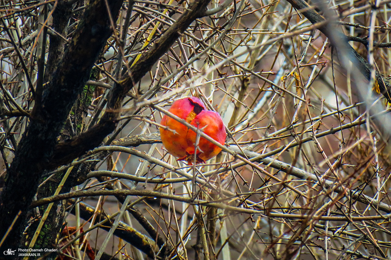روستای تاریخی خانقاه پاوه؛ یادگار دوره ساسانی