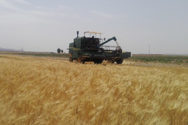 7 هزار هکتار از اراضی کشاورزی ری تحت پوشش بیمه قرار گرفت