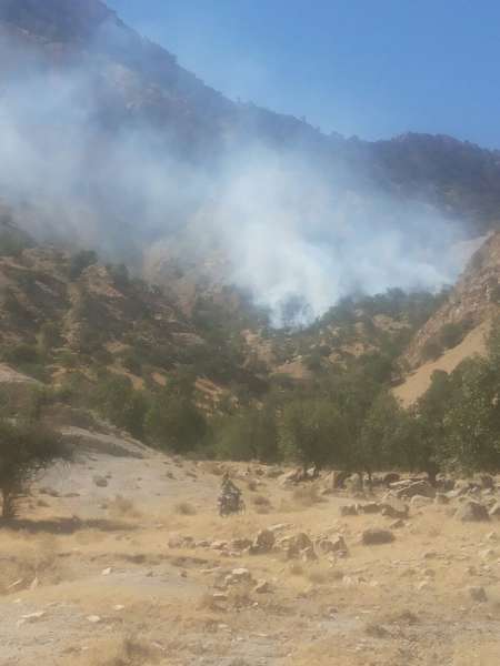 مدیرکل منابع طبیعی خوزستان: آتش سوزی در جنگل های بهبهان مهار شد