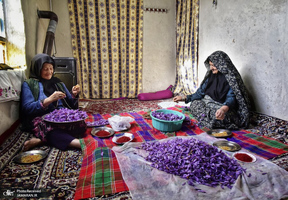 منتخب تصاویر امروز جهان- 3 آبان