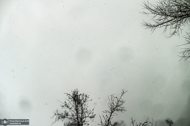 بارش برف و باران در تهران تا چه زمانی ادامه دارد؟/ آخرین گزارش هواشناسی