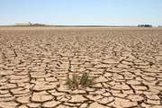 خسارت 10 میلیارد دلاری فرسایش خاک