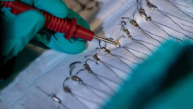 نوآوری جالب کره‌ای‌ها برای تولید برق از گرمای بدن
