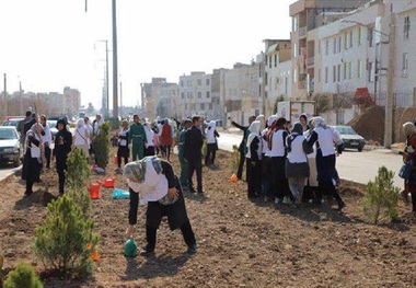 طرح درختکاری در بوستان معلم قزوین برگزار شد