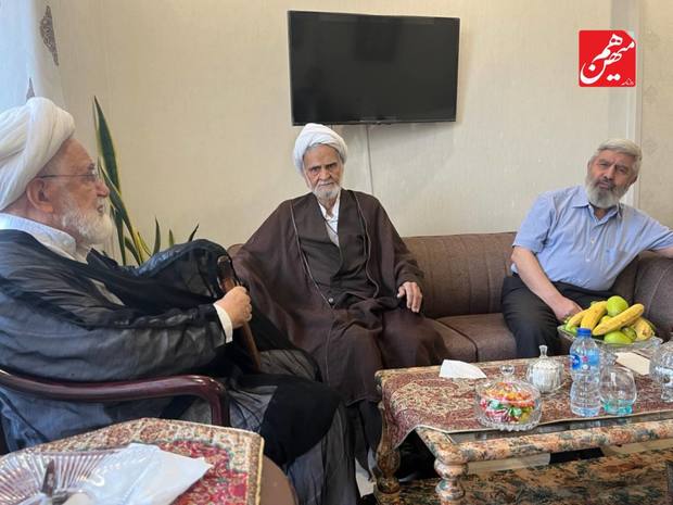 دیدار حجتی کرمانی و معادیخواه با مهدی کروبی + عکس