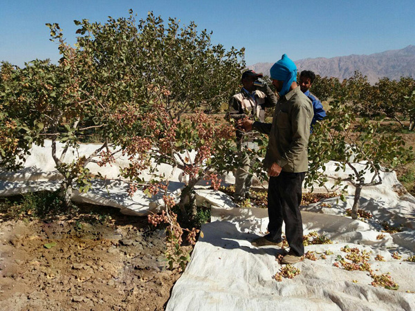 بیمه؛ حق ‌بیکاری کارگران را پرداخت نمی‌کند