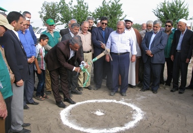 احداث یک گلخانه سبزی و صیفی در گنبدکاووس آغاز شد