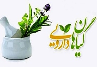 اختصاص 600 هکتار از اراضی ملی الیگودرز به کشت گیاهان دارویی