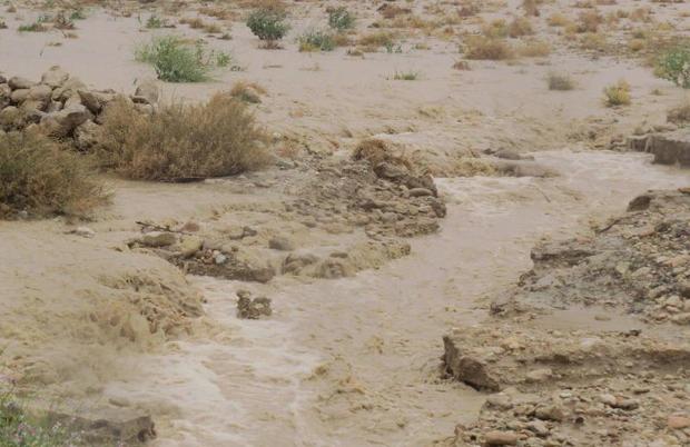 بارش های پاییزی سیستان و بلوچستان را فرا گرفت