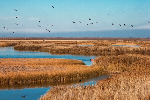 تالاب 'کانی برازان' مهاباد میزبان علاقه مندان به طبیعت