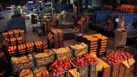 استقرار 95غرفه توزیع میوه شب عید در چهارمحال و بختیاری