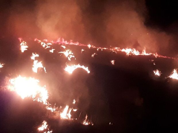 سه هکتار از مراتع تالاب هامون در آتش سوخت
