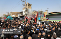 63508664_Alireza-Mohammadi-3071