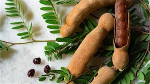 ۸ مزیت فوق العاده تمرهندی برای سلامتی
