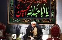 نقویان اربعین