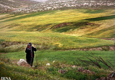 تخریب منابع طبیعی خراسان شمالی کمتر شد