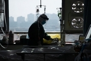 افزایش جان باختگان و مبتلایان کرونا در چین و کره جنوبی