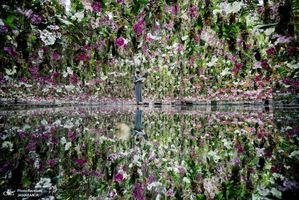 منتخب تصاویر امروز جهان- 1 تیر 1400