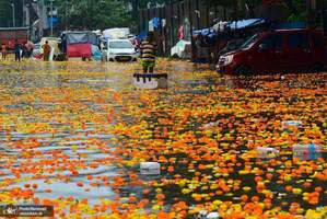 منتخب تصاویر امروز جهان- 3 مهر