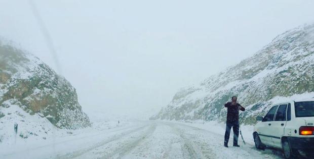 برف مدارس برخی شهرهای استان اردبیل را تعطیل کرد