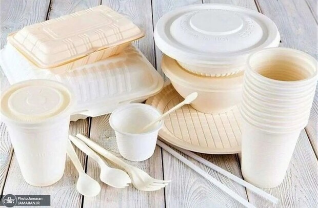 افزایش قیمت ظروف یکبار مصرف و لوله‌های پلاستیکی؛ حملات به پتروشیمی بهانه سودجویی‌ها شد
