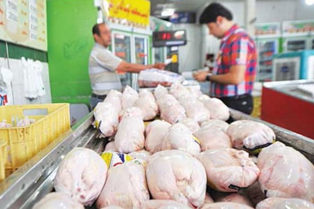 توزیع مرغ تنظیم بازار در ورامین آغاز شد
