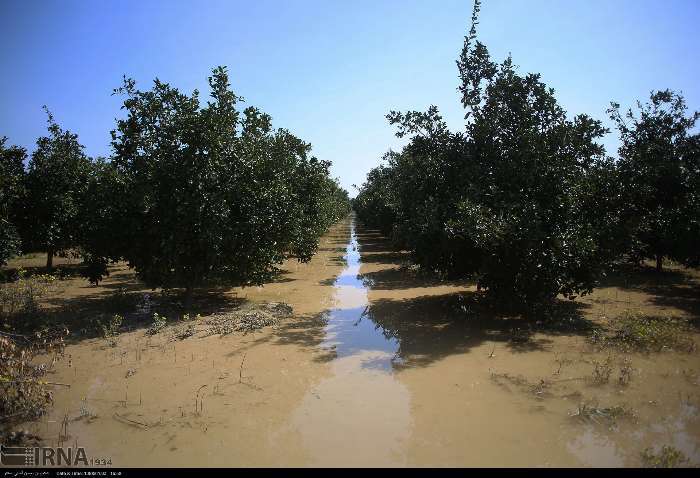 امداد رسانی به روستاهای سیل زده مازندران‎