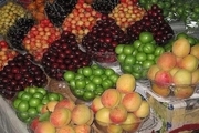 قیمت هر کیلو میوه نوبرانه در بازار چند؟
