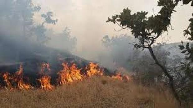 وسعت آتش سوزی در جنگل گلستان 150 هکتار اعلام شد