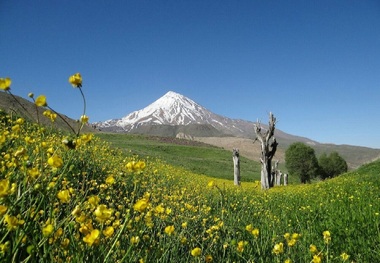 درخواست یک نماینده از قوه قضاییه برای رسیدگی به ماجرای کوه دماوند