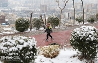 بهترین عکس ها از روز برفی تهران (7)