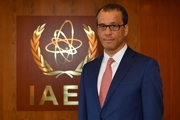 درخواست مدیرکل موقت آژانس اتمی از ایران