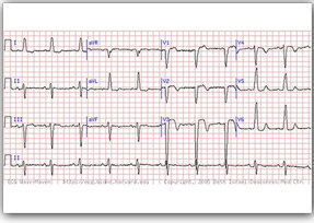 وقتی یک پزشک خودش را دیپلمه معرفی کرد تا ببیند در بیمارستان با او چه می کنند؟