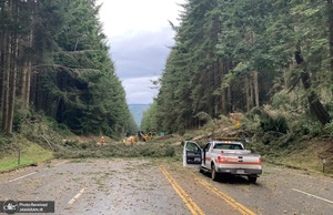 منتخب تصاویر امروز جهان - 17 دی 1401