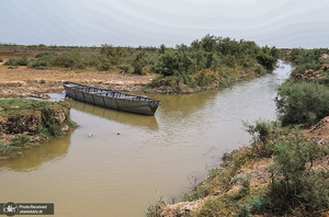 منتخب تصاویر امروز جهان- 1 مرداد 1400