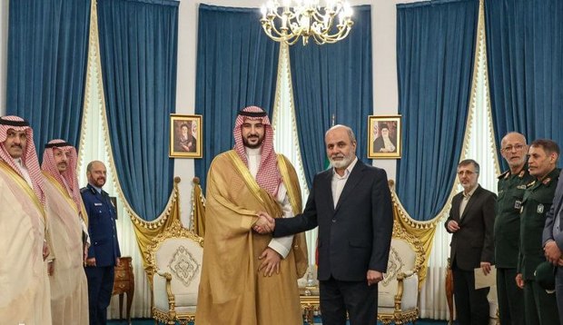 وزیر دفاع عربستان با دبیر شورای عالی امنیت ملی ایران دیدار کرد